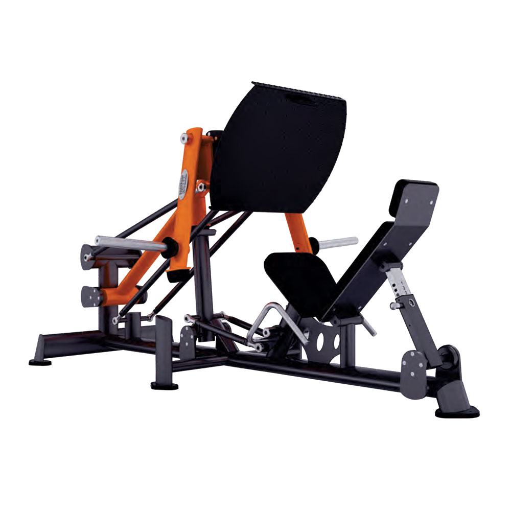 LEG PRESS BRIDGE TX 915