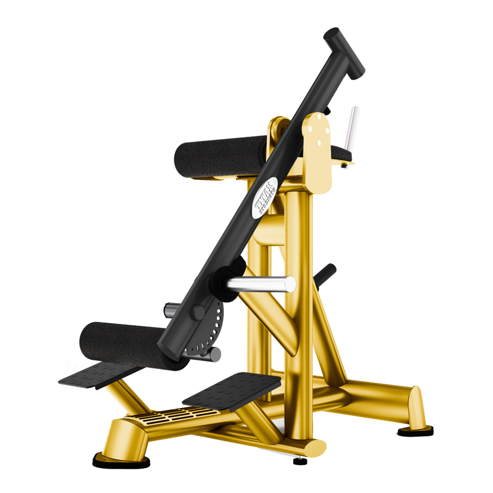 REVERSE HYPER EXTENSION TX 924