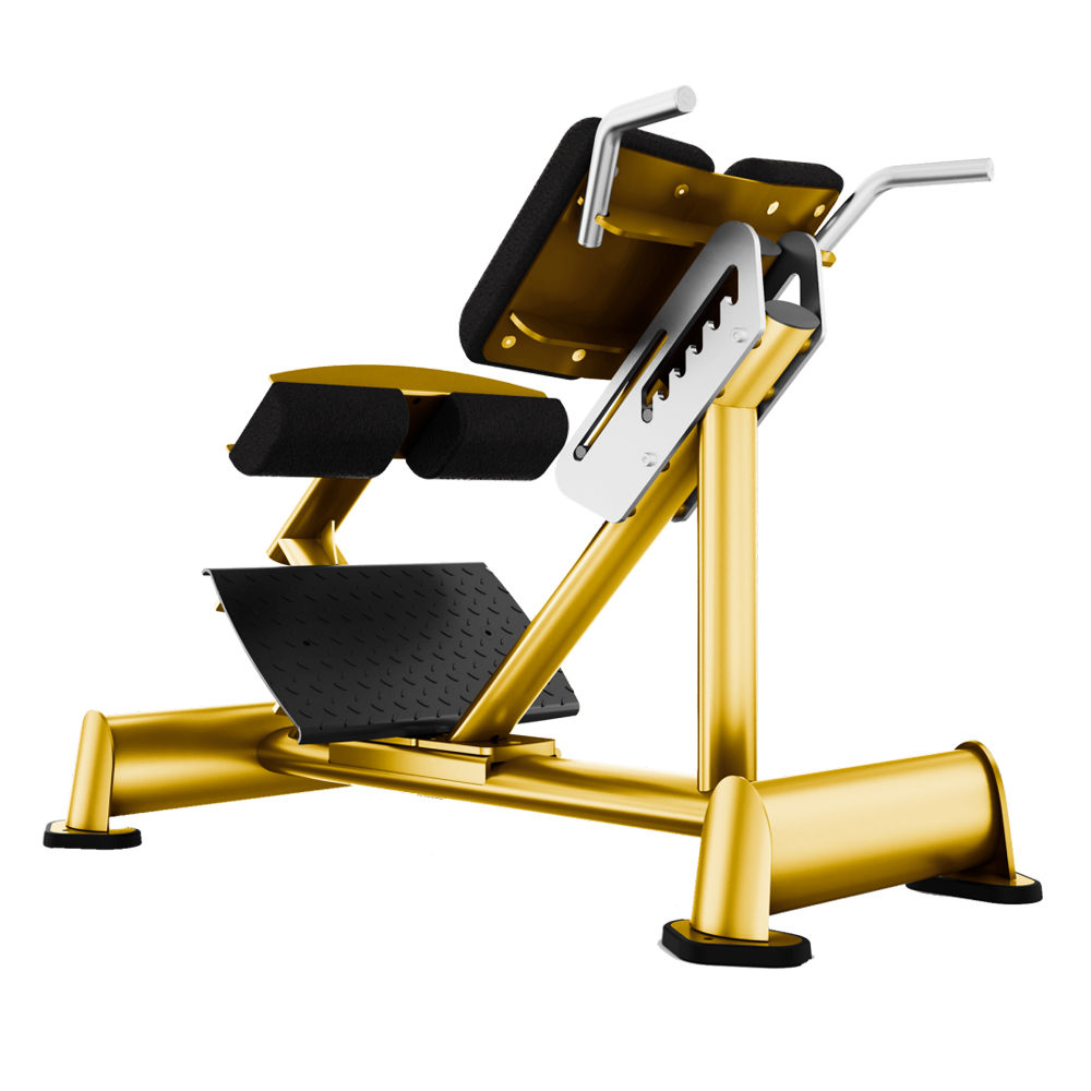 BACK EXTENSION TX 935