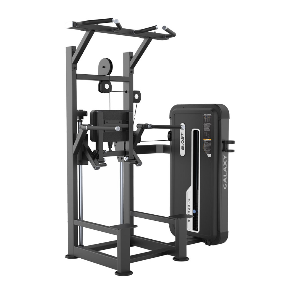 DIP/CHIN ASSIST A 3009