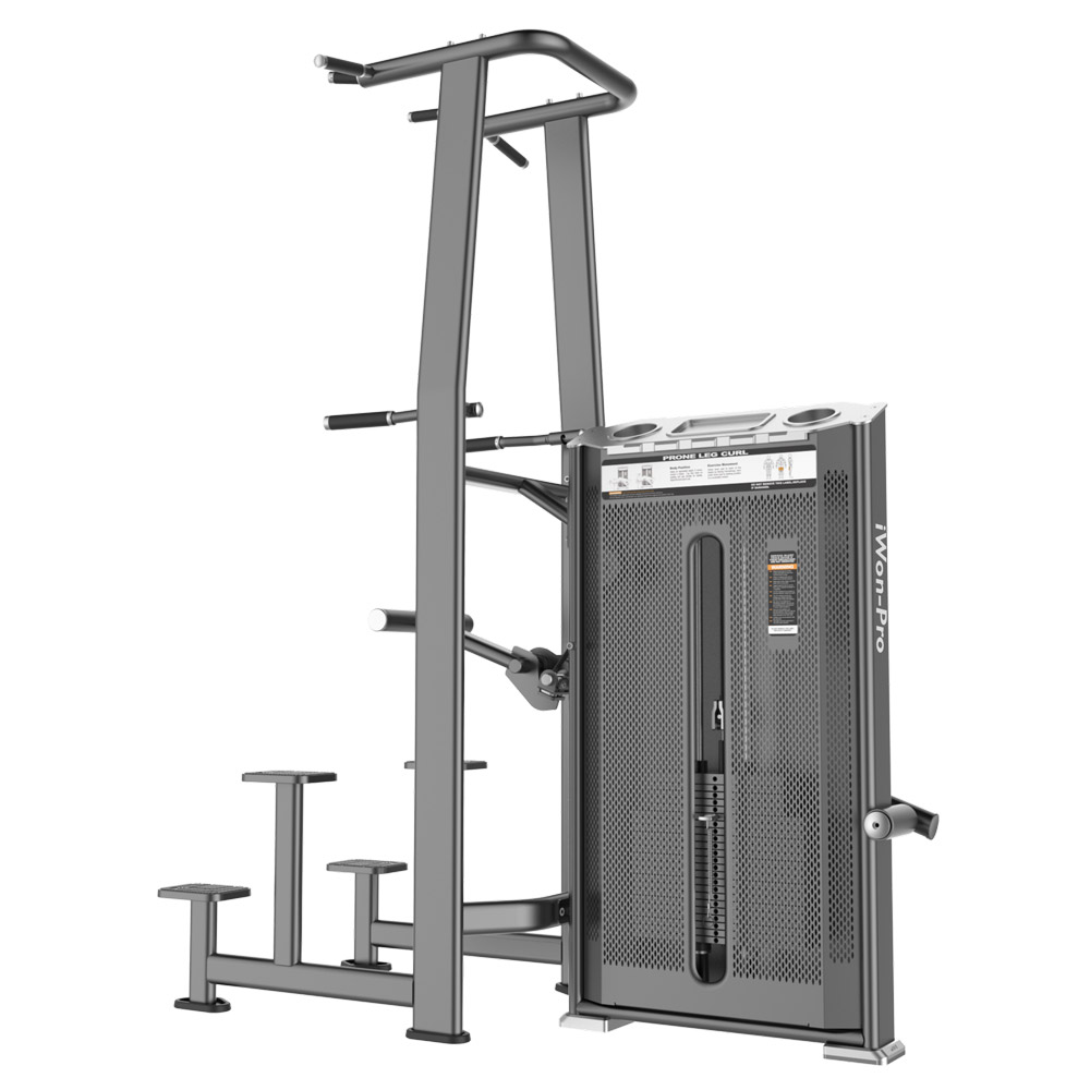 Dip / Chin Assist A   7009