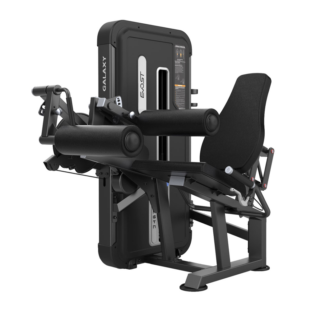 LEG EXTENSION / LEG CURL A 3086