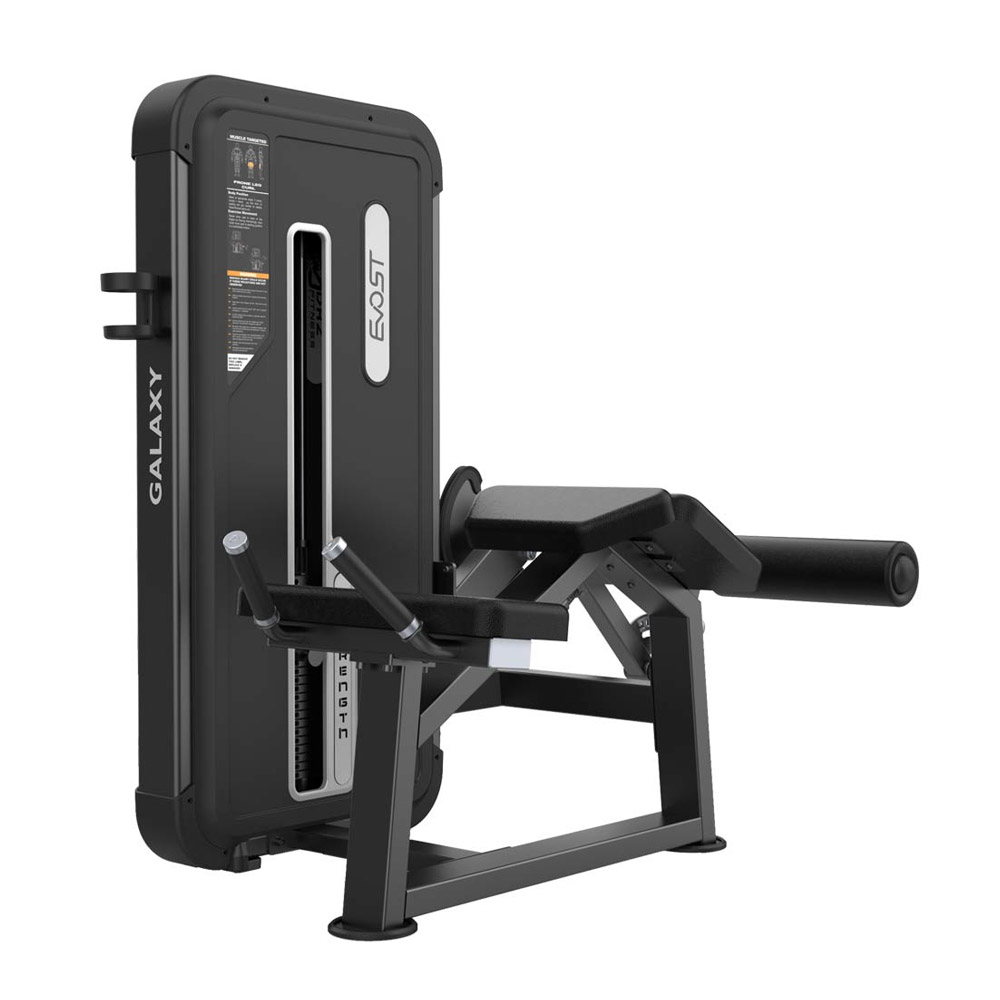 PRONE LEG CURL A 3001