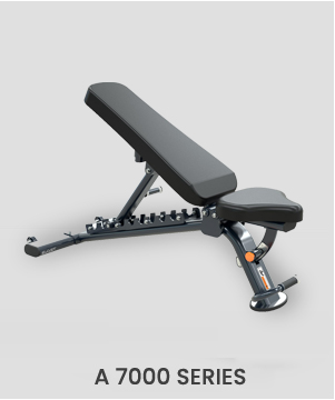 i-won-series-fitking